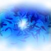 Apollo Iris Underwater LED Lighting System